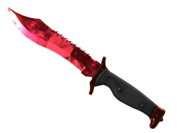 ★ Bowie Knife | Doppler (Factory New)