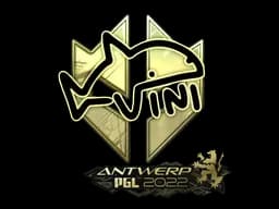Sticker | VINI (Gold) | Antwerp 2022