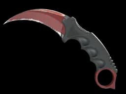 ★ StatTrak™ Karambit | Crimson Web (Field-Tested)