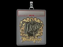 Sticker Slab | woxic (Gold) | Budapest 2025