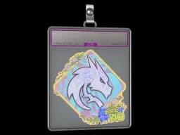 Sticker Slab | Team Spirit (Holo) | Rio 2022