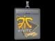 Sticker Slab | Fnatic | Cologne 2015 CS2 skin