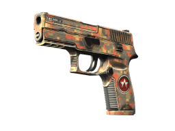 P250 | Red Rock (Minimal Wear)