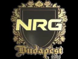 Sticker | NRG (Gold) | Budapest 2025