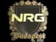 Sticker | NRG (Gold) | Budapest 2025 CS2 skin
