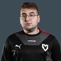 torzsi