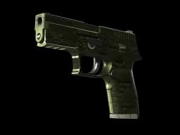 P250 | Iron Clad (Field-Tested)