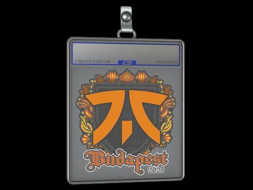 Sticker Slab | fnatic | Budapest 2025