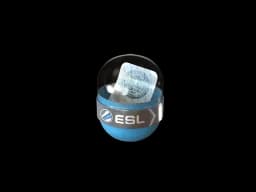 CS2 Containers prices
