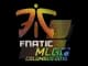 Sticker | Fnatic | MLG Columbus 2016 CS2 skin