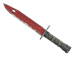 ★ Bayonet | Crimson Web (Well-Worn)