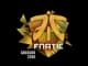 Sticker | Fnatic | Cologne 2016 CS2 skin