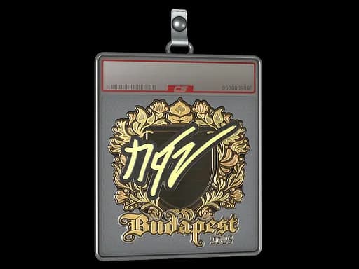 Sticker Slab | NQZ (Gold) | Budapest 2025