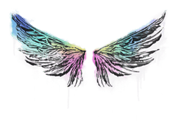 Sealed Graffiti | Wings