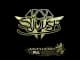 Sticker | sjuush (Gold) | Antwerp 2022 CS2 skin