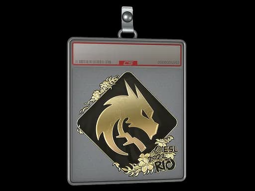 Sticker Slab | Team Spirit (Gold) | Rio 2022