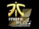 Sticker | Fnatic | MLG Columbus 2016 CS2 skin