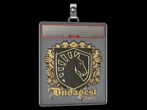 Sticker Slab | Team Liquid (Gold) | Budapest 2025
