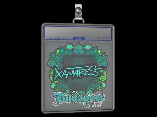 Sticker Slab | XANTARES | Budapest 2025