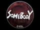 Sticker | somebody | Katowice 2019 CS2 skin