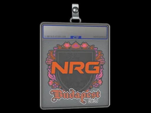 Sticker Slab | NRG | Budapest 2025