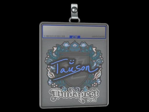 Sticker Slab | Tauson | Budapest 2025