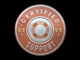 Sticker | Support (Foil)