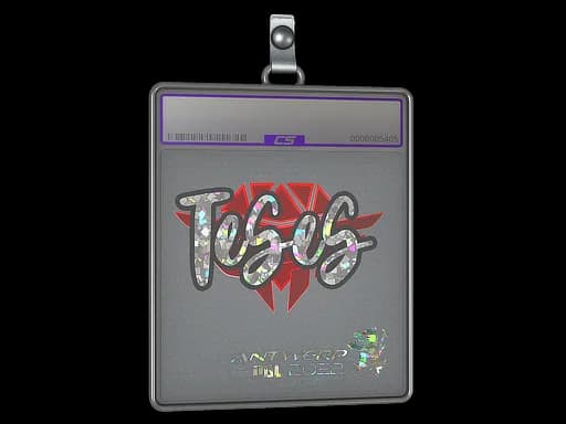 Sticker Slab | TeSeS (Glitter) | Antwerp 2022