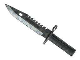 ★ M9 Bayonet | Stained (Field-Tested)