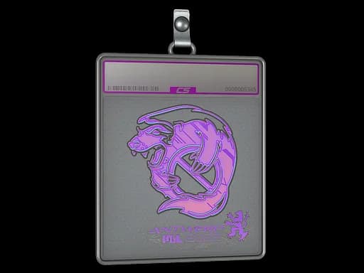 Sticker Slab | Outsiders (Holo) | Antwerp 2022