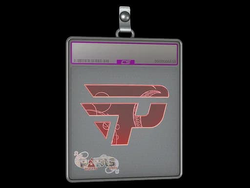 Sticker Slab | paiN Gaming (Holo) | Paris 2023