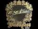 Sticker | esenthial (Gold) | Budapest 2025 CS2 skin