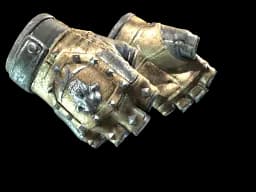 ★ Bloodhound Gloves | Bronzed CS2 skin