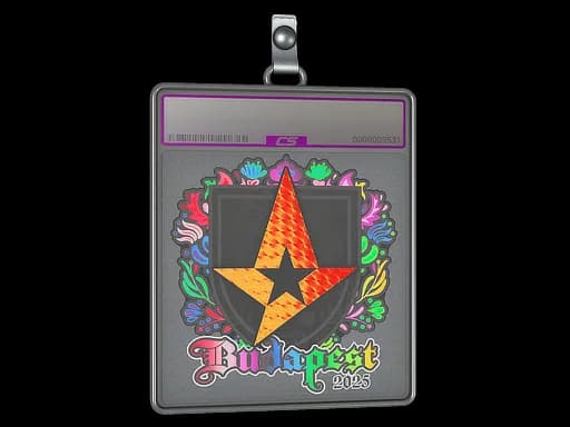 Sticker Slab | Astralis (Holo) | Budapest 2025