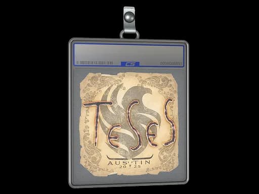 Sticker Slab | TeSeS | Austin 2025