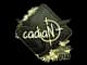 Sticker | cadiaN (Gold) | Rio 2022 CS2 skin