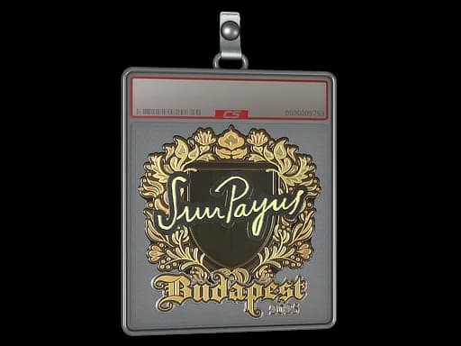 Sticker Slab | SunPayus (Gold) | Budapest 2025