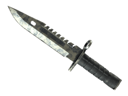 ★ M9 Bayonet | Stained (Battle-Scarred)