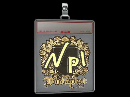 Sticker Slab | npl (Gold) | Budapest 2025
