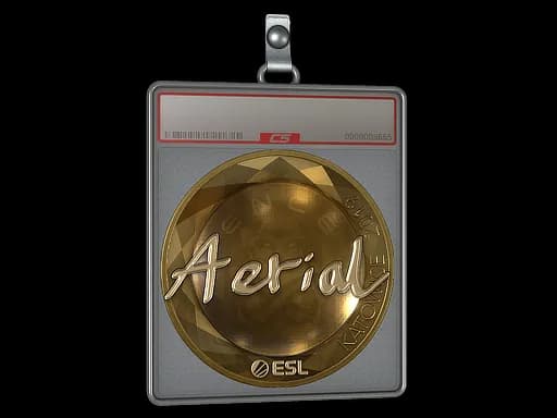 Sticker Slab | Aerial (Gold) | Katowice 2019