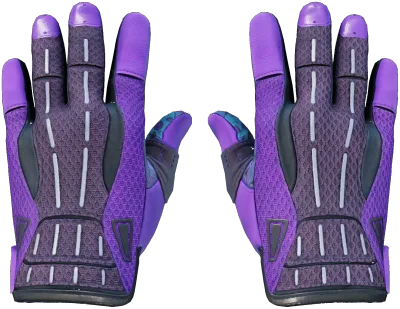 ★ Sport Gloves | Pandora's Box